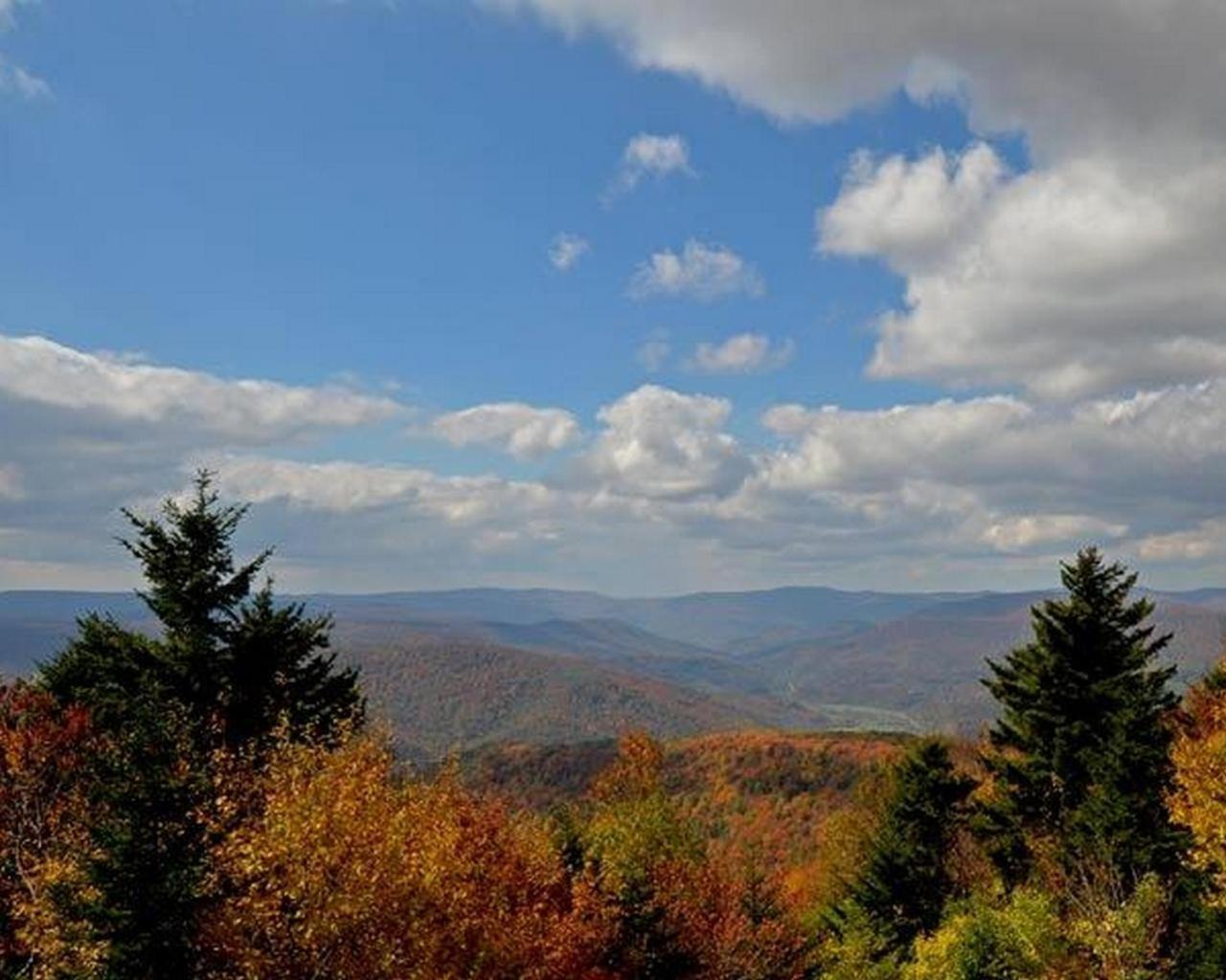 Shays Landing #5 Snowshoe Exterior photo